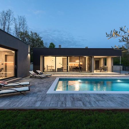 Green Luxury II With Heated Pool, Jacuzzi & Sauna Ruzici  Eksteriør bilde